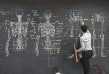 Фото - Молодой преподаватель прославился благодаря анатомическим рисункам на доске