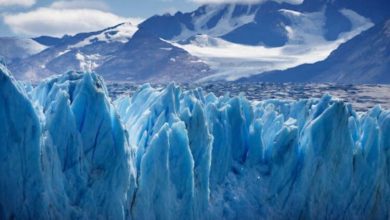 Фото - Научный парадокс — ледники на северо-западе Тихого океана заселены червями