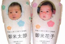 Фото - «Рисовые младенцы» помогают людям познакомиться с копиями новорожденных родственников