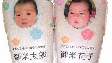 Фото - «Рисовые младенцы» помогают людям познакомиться с копиями новорожденных родственников