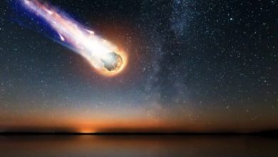 Фото - Самый опасный астероид, способный уничтожить Землю — какой он?