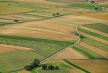 Фото - Украинский клуб агробизнеса назвал среднюю цену гектара сельхозземли