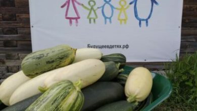 Фото - В Свердловской области детей из детских домов и неблагополучных семей  приобщают к фермерству