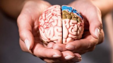 Фото - Опасно для мозга: как дефицит витамина B12 способен спровоцировать когнитивные нарушения и инсульт