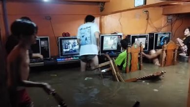 Фото - Истинных геймеров оказался не в состоянии остановить даже тайфун