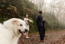 Фото - Любимец украл у хозяев минуту славы на их собственной свадьбе