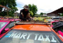 Фото - Таксисты превратили крыши автомобилей в огороды