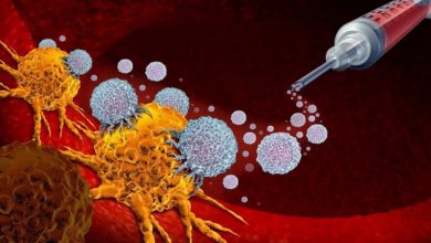 Фото - Ученые нашли способ как научить иммунитет бороться с раком
