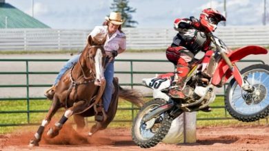 Фото - Что опаснее: езда на лошади или на мотоцикле?