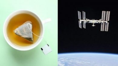 Фото - Как пакетик чая помог астронавтам сэкономить 150 миллиардов долларов?