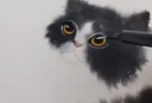 Фото - Рисовая бумага оказалась идеальной для рисования кошек