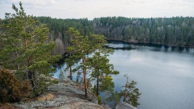 Фото - Туроператоры просят унифицировать ограничения для туристов в регионах