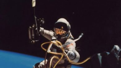 Фото - Ученые изучили анализы крови пяти российских космонавтов. Что они узнали?