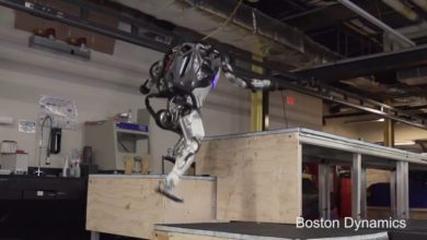 Фото - #видео | Компания Boston Dynamics обучила своего робота «паркуру»