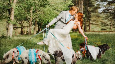 Фото - Владельцы приюта для животных поженились, не забыв пригласить на свадьбу своих подопечных