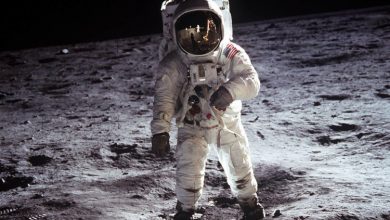Фото - 11 фактов, которые вы не знали о лунных высадках «Аполлонов»
