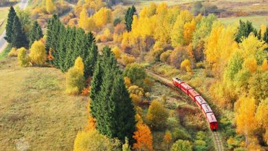 Фото - Названы направления, куда были куплены самые дорогие билеты на поезда в октябре