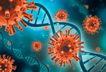 Фото - Неизученный ген повышает риск смерти от коронавируса в два раза