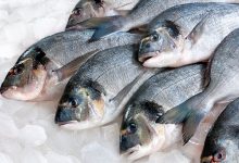 Фото - Ртуть и глисты: как выбрать безопасную рыбу, рассказал доктор Комаровский