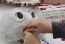 Фото - Стоматолог не только слепила снеговика, но и подарила ему зубы