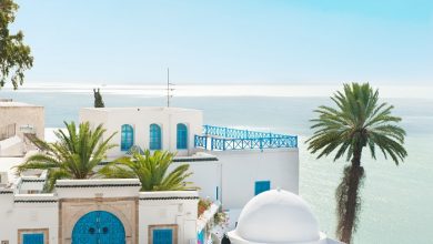 Фото - Тунис ужесточил требования к прибывающим туристам