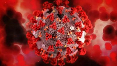 Фото - Ученые нашли уязвимость коронавируса — без клеточных жиров он совершенно безопасен
