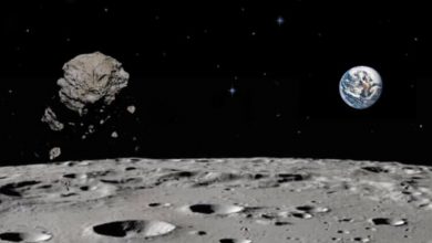 Фото - Ученые раскрыли секрет астероида Камоалева — квазиспутника Земли