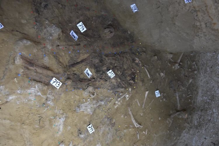 В древнем захоронении археологи нашли три бронзовых меча возрастом более 3000 лет