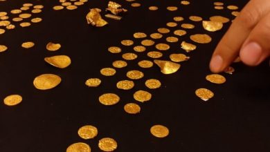 Фото - В Великобритании нашли целое сокровище: золотые монеты возрастом 1400 лет