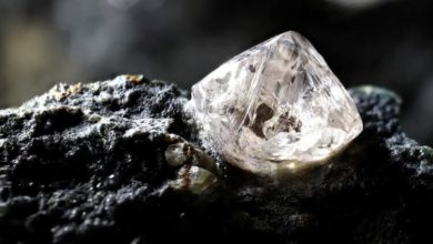 Фото - Внутри Алмаза, извлеченного из глубины Земли, обнаружили невиданный ранее минерал