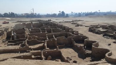 Фото - 5 самых необычных и интересных археологических открытий 2021 года