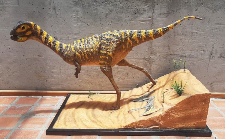Что известно о новом беззубом динозавре из Бразилии?