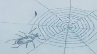 Фото - Чтобы не скучать дома, мужчина вытоптал в снегу картину с пауком в паутине
