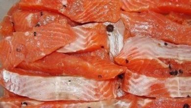 Фото - Двум категориям людей следует отказаться от красной рыбы: мнение врача