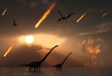 Фото - И все-таки динозавры вымерли из-за удара астероида Чиксулуб, выяснили ученые