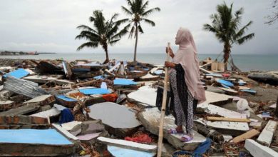 Фото - Какие катастрофы 2021 года показали реальность глобального потепления