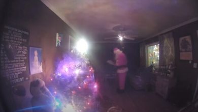 Фото - Камера видеонаблюдения показала детям, как Санта раскладывает подарки в гостиной