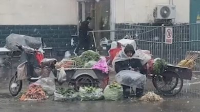 Фото - Покупательница приобрела все овощи у уличного торговца, чтобы он не замёрз