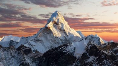 Фото - Самые древние горы на Земле выросли благодаря морскому планктону