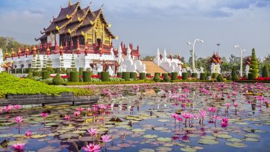 Фото - Таиланд временно закрыл регистрацию для получения Thailand Pass