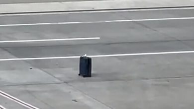 Фото - Укатившийся чемодан на колёсиках был пойман сотрудниками аэропорта
