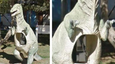 Фото - Уличный телефонный аппарат поместили в скульптуру динозавра