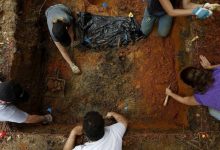 Фото - В Польше нашли украшения кроманьонцев возрастом более 40 тысяч лет