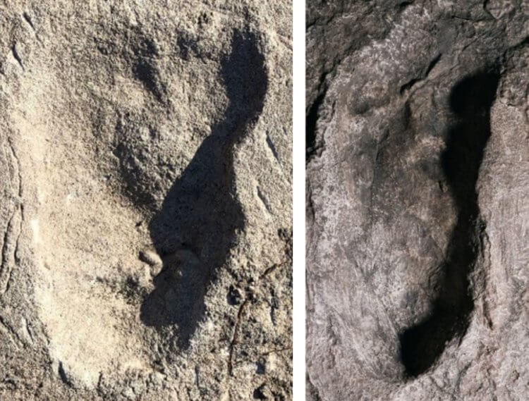 В Танзании нашли следы предположительно древних людей неизвестного ранее вида