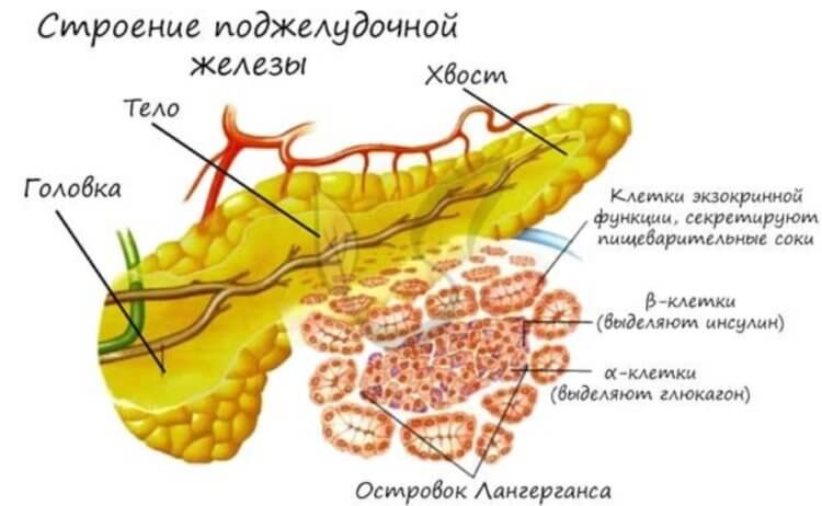 100 лет назад был сделан первый укол инсулина. Кому он спас жизнь?