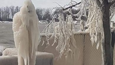 Фото - Домовладелец обнаружил во дворе две ледяные скульптуры, похожие на смерть