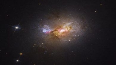 Фото - Hubble нашел черную дыру, которая рождает звезды