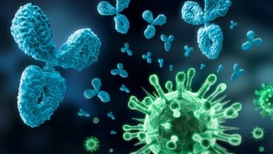 Фото - Как COVID-19 стимулирует опасные антитела и “усыпляет” иммунную систему
