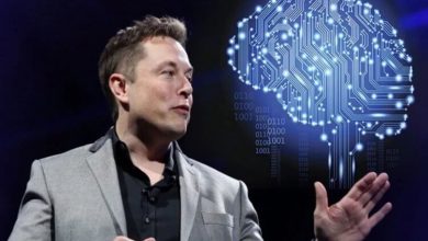 Фото - Компания Neuralink почти готова имплантировать чипы в мозги людей