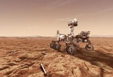 Фото - Марсоход Perseverance обнаружил следы жизни на Марсе?